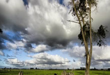 天涯社区，你认识吗？这是咱们这些老网民心中的一方理塘啊！说起和它类似的社区，老铁们可多了！现在好些网站都有这种天涯味儿～